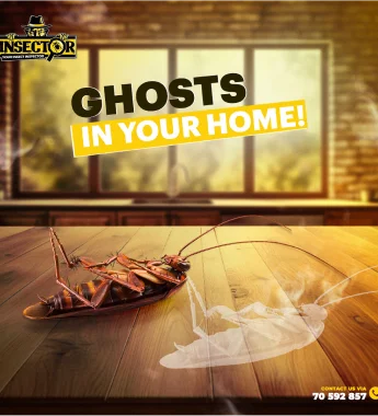 ghosts-in-your-home2-edit 1 (1)